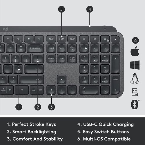 Logitech MX Keys Combo for Business, Gen 2 Full Size Wireless Keyboard and Wireless Mouse, with Keyboard Palm Rest, Bluetooth, Logi Bolt, Quiet Clicks, Windows/Mac/Chrome/Linux...(Graphite)