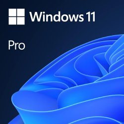 Microsoft Windows 11 Pro 64 Bit DVD, 1 Pack, Retail Package ...