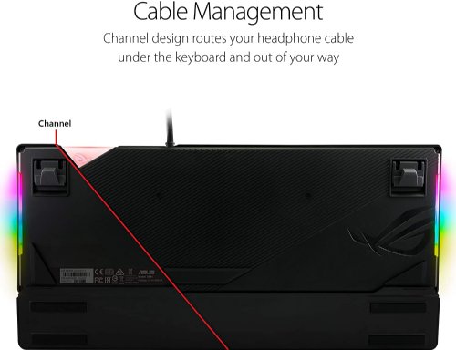ASUS RGB Mechanical Gaming Keyboard - ROG Strix Flare (Cherry MX Blue Switches - CM SS) Aura Sync & SDK, Gaming Keyboard for PC, Customizable Badge, USB Pass-Through...