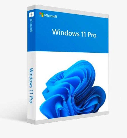 Microsoft Windows 11 Professional 64Bit DVD with install Flash Drive