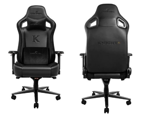 Ergopixel Knight XL Premium Gaming Chair - Black, This chair offers customizable lumbar support and ergonomic features that have been scientifically validated....