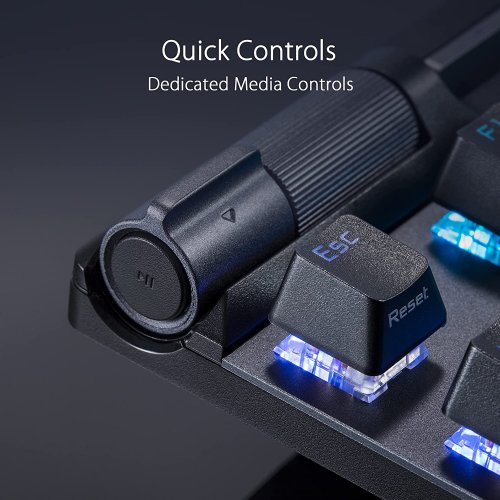 ASUS ROG Strix Flare II 100% RGB Gaming Keyboard, ROG NX Blue Mechanical switches, ABS Engraved keycaps, 8k Hz Polling, Sound-dampening Foam, Media Controls...